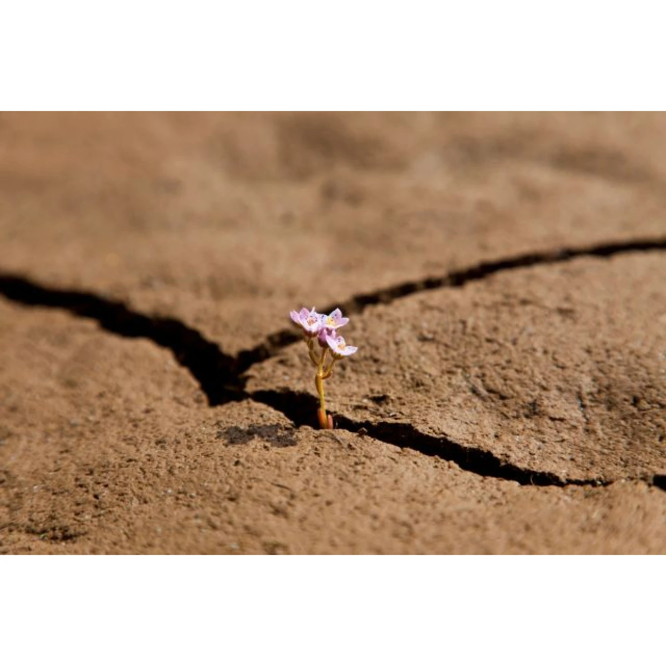 Akustikbild Durchsetzungsvermögen 3 Akustikbild Durchsetzungsvermögen