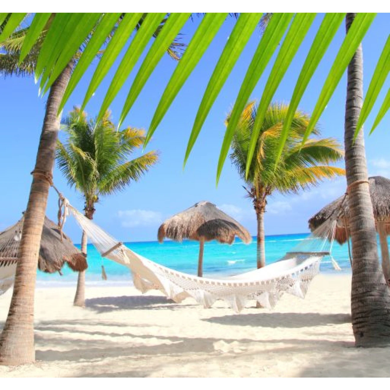 Akustikbild Hängematte Und Palmen 3 Akustikbild Hängematte Und Palmen