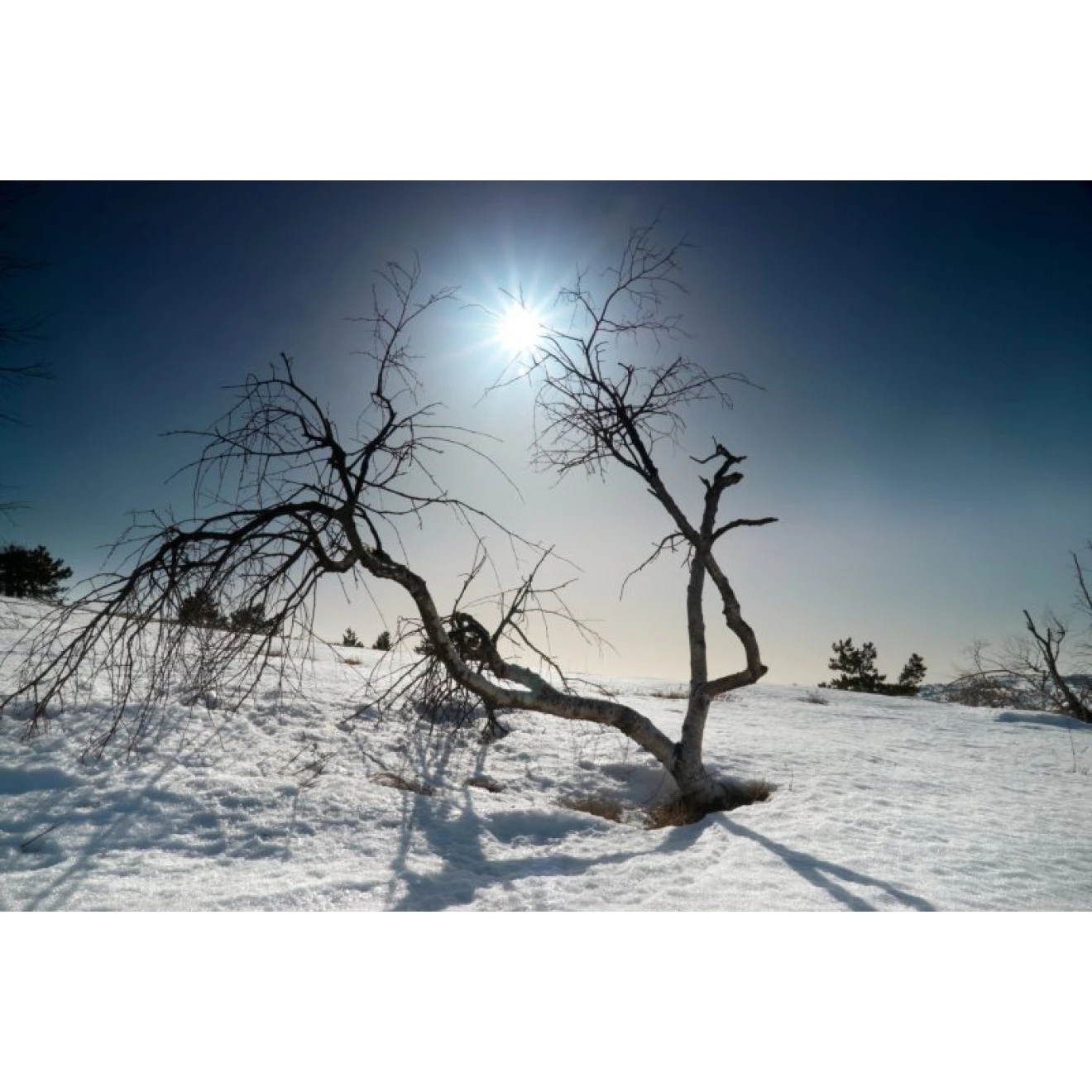 Akustikbild Eiszeit 3 Akustikbild Eiszeit