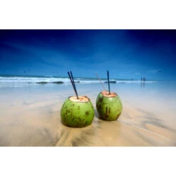 Akustikbild Coconut Drinks