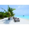 Akustikbild Bänke Unter Palmen Am Strand -Heimgebrauch Schaumstoffprodukte Geschäft akustikbild 02H32071