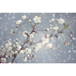 Akustikbild Frühling