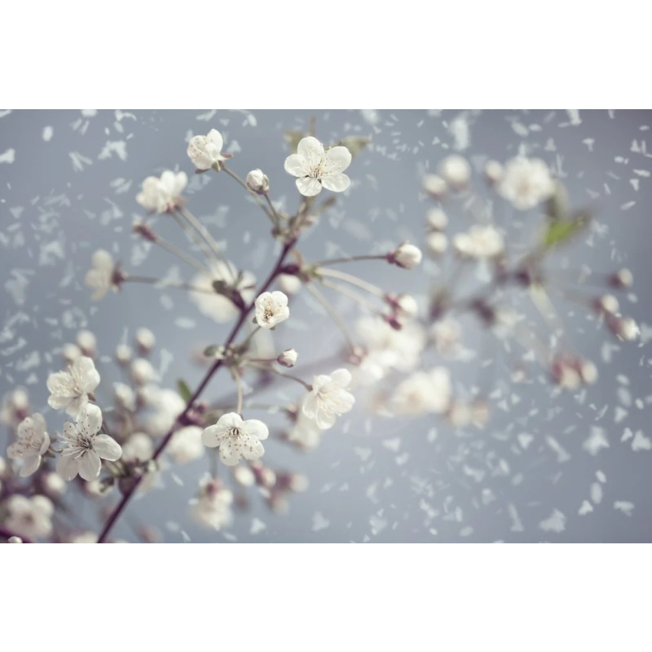 Akustikbild Frühling 3 Akustikbild Frühling