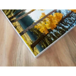 Akustikbild Bäume Im Herbst -Heimgebrauch Schaumstoffprodukte Geschäft akustikbild 105 Ecke1