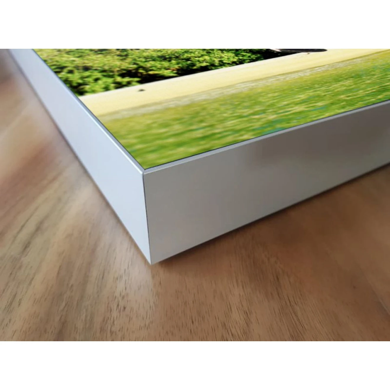 Akustikbild Flamingo 6 Akustikbild Flamingo – Bild 4