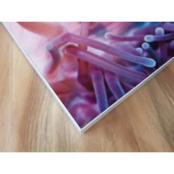 Akustikbild Clownfisch Und Anemone -Heimgebrauch Schaumstoffprodukte Geschäft akustikbild 113 Ecke1 1