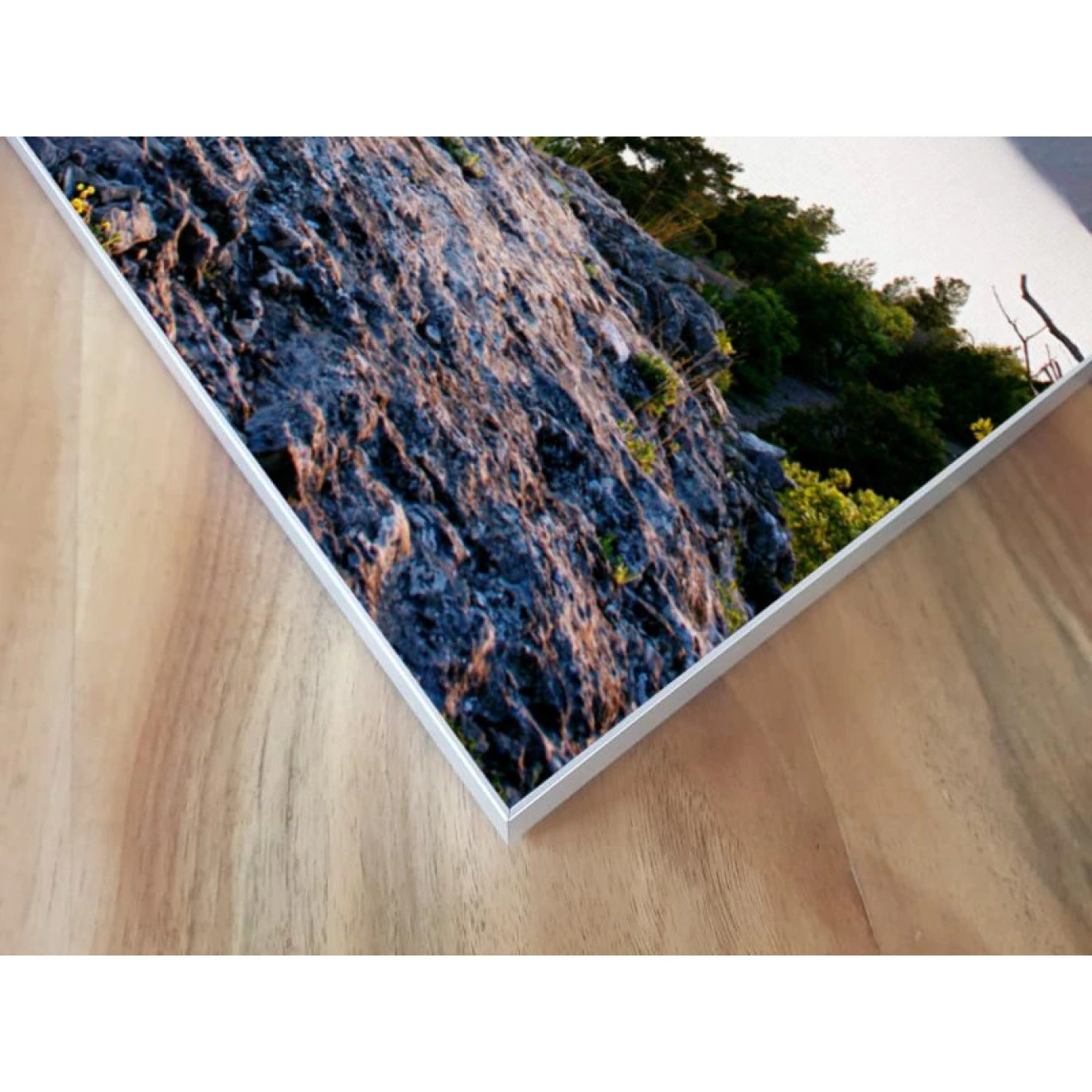 Akustikbild Baum Am Meer 7 Akustikbild Baum Am Meer – Bild 5