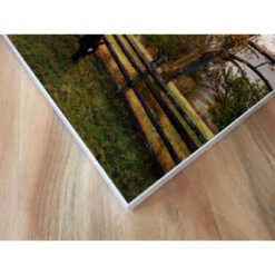 Akustikbild Glückliche Pferde 14 Akustikbild Glückliche Pferde -Heimgebrauch Schaumstoffprodukte Geschäft akustikbild 125 Ecke1