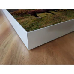 Akustikbild Glückliche Pferde -Heimgebrauch Schaumstoffprodukte Geschäft akustikbild 125 Ecke2 1