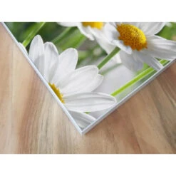 Akustikbild Gänseblümchen -Heimgebrauch Schaumstoffprodukte Geschäft akustikbild 127 Ecke1