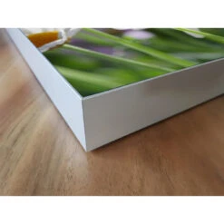 Akustikbild Gänseblümchen -Heimgebrauch Schaumstoffprodukte Geschäft akustikbild 127 Ecke2