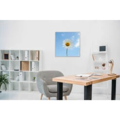 Akustikbild Einfach Nur Ein Gänseblümchen -Heimgebrauch Schaumstoffprodukte Geschäft akustikbild 131 Zimmer1