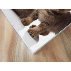 Akustikbild Babykatzen -Heimgebrauch Schaumstoffprodukte Geschäft akustikbild 134 Ecke1