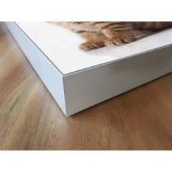 Akustikbild Babykatzen -Heimgebrauch Schaumstoffprodukte Geschäft akustikbild 134 Ecke2