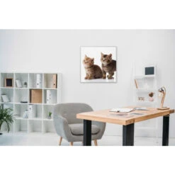 Akustikbild Babykatzen -Heimgebrauch Schaumstoffprodukte Geschäft akustikbild 134 Zimmer1