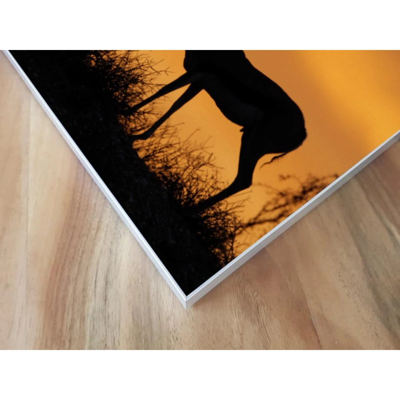 Akustikbild Impalla In Der Wüste 7 Akustikbild Impalla In Der Wüste – Bild 5