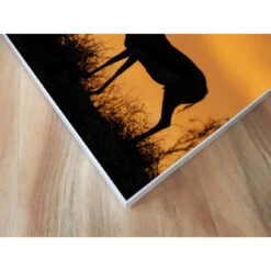 Akustikbild Impalla In Der Wüste -Heimgebrauch Schaumstoffprodukte Geschäft akustikbild 139 Ecke1