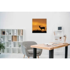 Akustikbild Impalla In Der Wüste -Heimgebrauch Schaumstoffprodukte Geschäft akustikbild 139 Zimmer1