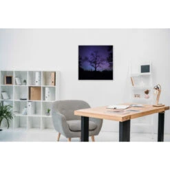 Akustikbild Kahler Baum Bei Nacht -Heimgebrauch Schaumstoffprodukte Geschäft akustikbild 156 Zimmer1 1