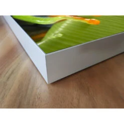 Akustikbild Hallo Frosch -Heimgebrauch Schaumstoffprodukte Geschäft akustikbild 164 Ecke2 1