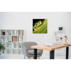 Akustikbild Hallo Frosch -Heimgebrauch Schaumstoffprodukte Geschäft akustikbild 164 Zimmer1 1