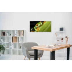 Akustikbild Hallo Frosch -Heimgebrauch Schaumstoffprodukte Geschäft akustikbild 164 Zimmer2 1