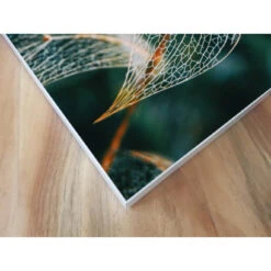 Akustikbild Blattskelett -Heimgebrauch Schaumstoffprodukte Geschäft akustikbild 175 Ecke1