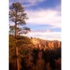 Akustikbild Bryce Canyon In Utah Felsformation 2 Akustikbild Bryce Canyon In Utah Felsformation -Heimgebrauch Schaumstoffprodukte Geschäft akustikbild 20171123 181745 1