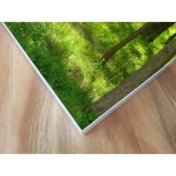 Akustikbild Grüne Lichtung -Heimgebrauch Schaumstoffprodukte Geschäft akustikbild 275 Ecke1 1