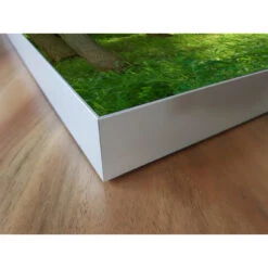 Akustikbild Grüne Lichtung -Heimgebrauch Schaumstoffprodukte Geschäft akustikbild 275 Ecke2