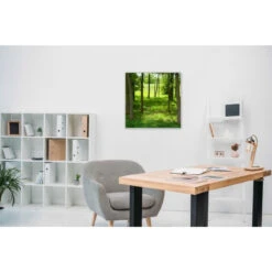 Akustikbild Grüne Lichtung -Heimgebrauch Schaumstoffprodukte Geschäft akustikbild 275 Zimmer1