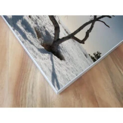 Akustikbild Eiszeit 14 Akustikbild Eiszeit -Heimgebrauch Schaumstoffprodukte Geschäft akustikbild 278 Ecke1 1