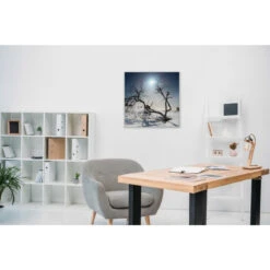 Akustikbild Eiszeit -Heimgebrauch Schaumstoffprodukte Geschäft akustikbild 278 Zimmer1