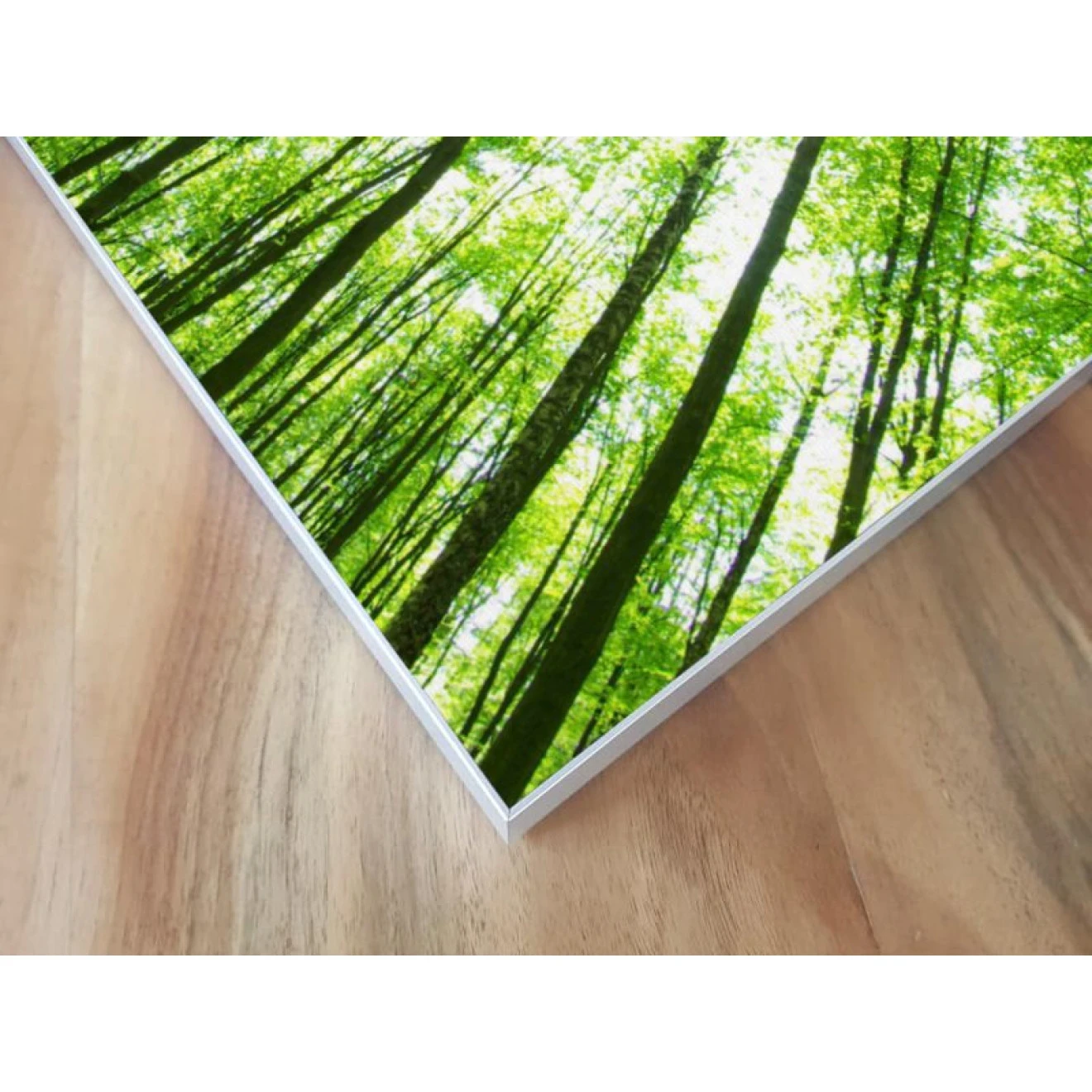 Akustikbild Laubbaum Lichtung 6 Akustikbild Laubbaum Lichtung – Bild 4