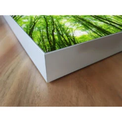 Akustikbild Laubbaum Lichtung 11 Akustikbild Laubbaum Lichtung -Heimgebrauch Schaumstoffprodukte Geschäft akustikbild 304 Ecke2