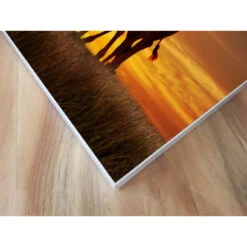 Akustikbild Giraffen 14 Akustikbild Giraffen -Heimgebrauch Schaumstoffprodukte Geschäft akustikbild 56 Ecke1