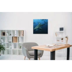 Akustikbild Haie 12 Akustikbild Haie -Heimgebrauch Schaumstoffprodukte Geschäft akustikbild 60 Zimmer1 1