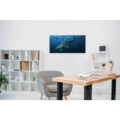 Akustikbild Haie 11 Akustikbild Haie -Heimgebrauch Schaumstoffprodukte Geschäft akustikbild 60 Zimmer2