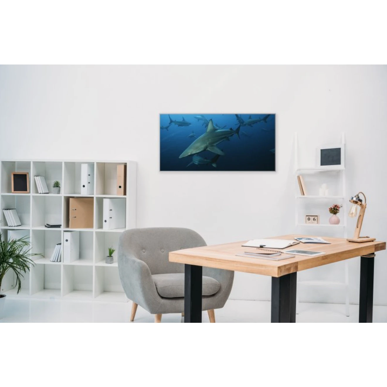 Akustikbild Haie 4 Akustikbild Haie – Bild 2