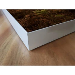 Akustikbild Großer Elch 13 Akustikbild Großer Elch -Heimgebrauch Schaumstoffprodukte Geschäft akustikbild 65 Ecke2