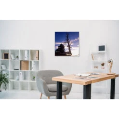 Akustikbild Baum Im Sonnenuntergang -Heimgebrauch Schaumstoffprodukte Geschäft akustikbild 78 Zimmer1