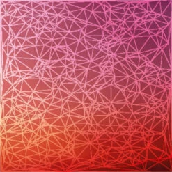 Akustikbild Gewebestruktur