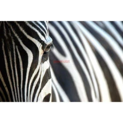 Akustikbild Black And White